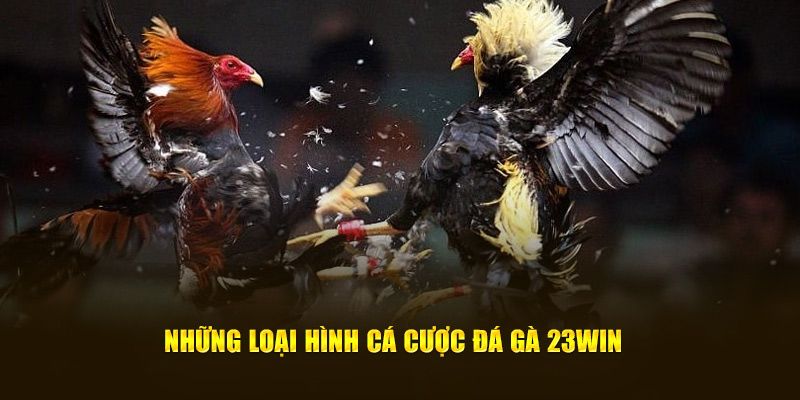Các loại hình đá gà 23WIN phổ biến hiện nay