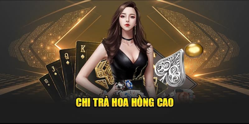 Mức hoa hồng của nhà cái cao bậc nhất trên thị trường