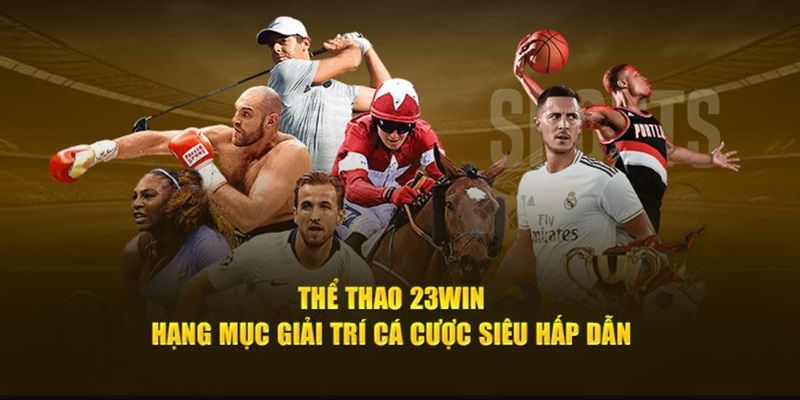 Đến thể thao 23WIN để chứng kiến sân chơi cá cược cực chất