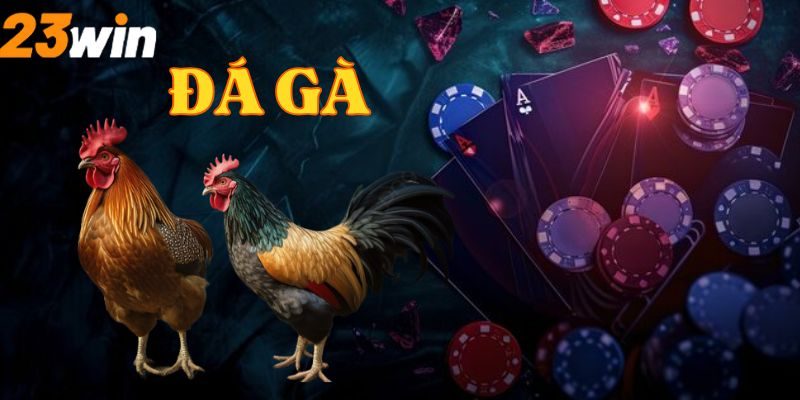 Những ưu điểm giúp đá gà trực tuyến chiếm trọn sự tin tưởng của khách hàng